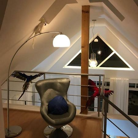Ferienimspessart Og Apartment บาด โซเดน-ซาลมึนสเตอร์ ภายนอก รูปภาพ