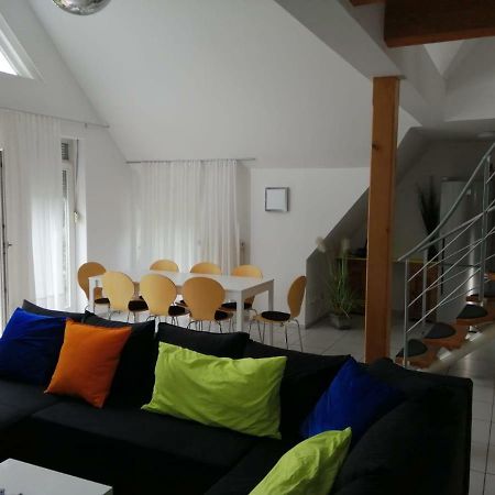Ferienimspessart Og Apartment บาด โซเดน-ซาลมึนสเตอร์ ภายนอก รูปภาพ